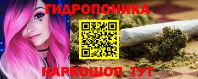 гидропоника Гусь-Хрустальный