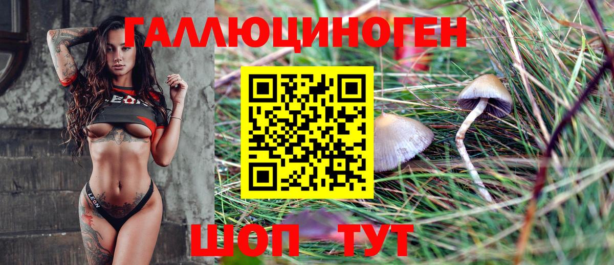 Галлюциногенные грибы Psilocybine cubensis  Вход с VPN  цена наркотик  Михайловка 