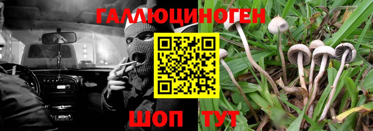 Галлюциногенные грибы GOLDEN TEACHER Михайловка